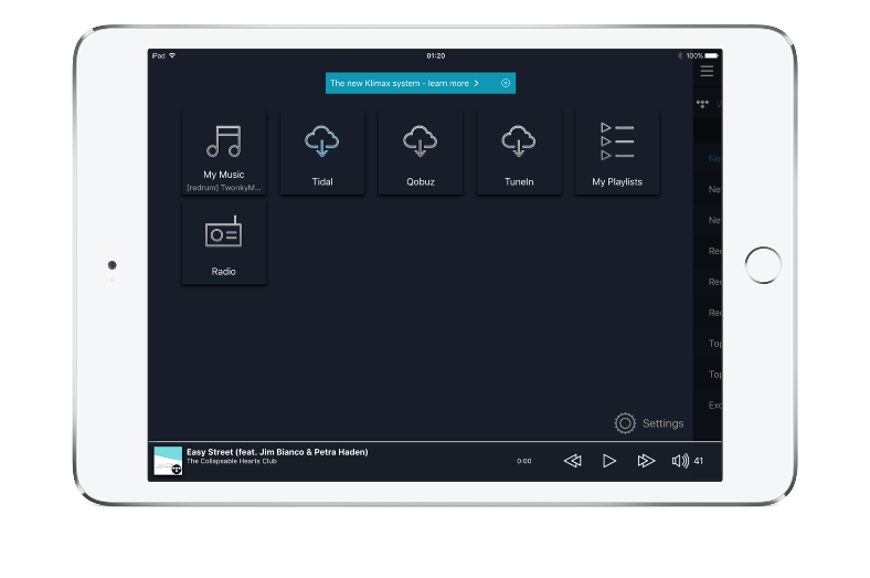 Linn Kazoo Portfolio